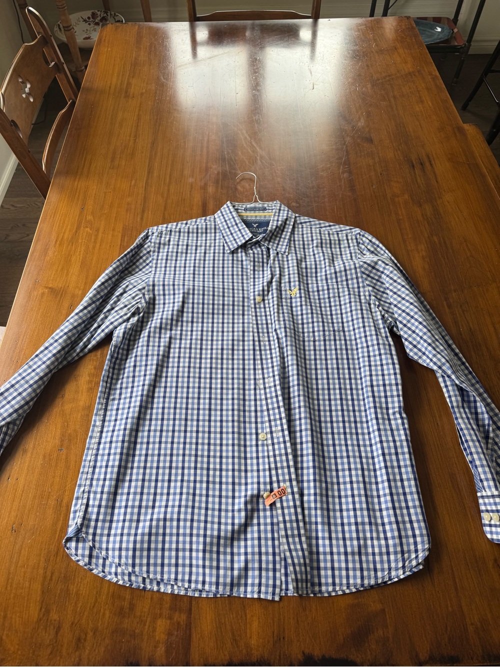 American Eagle Outfitters Blue and White Gingham Button-Up Shirt